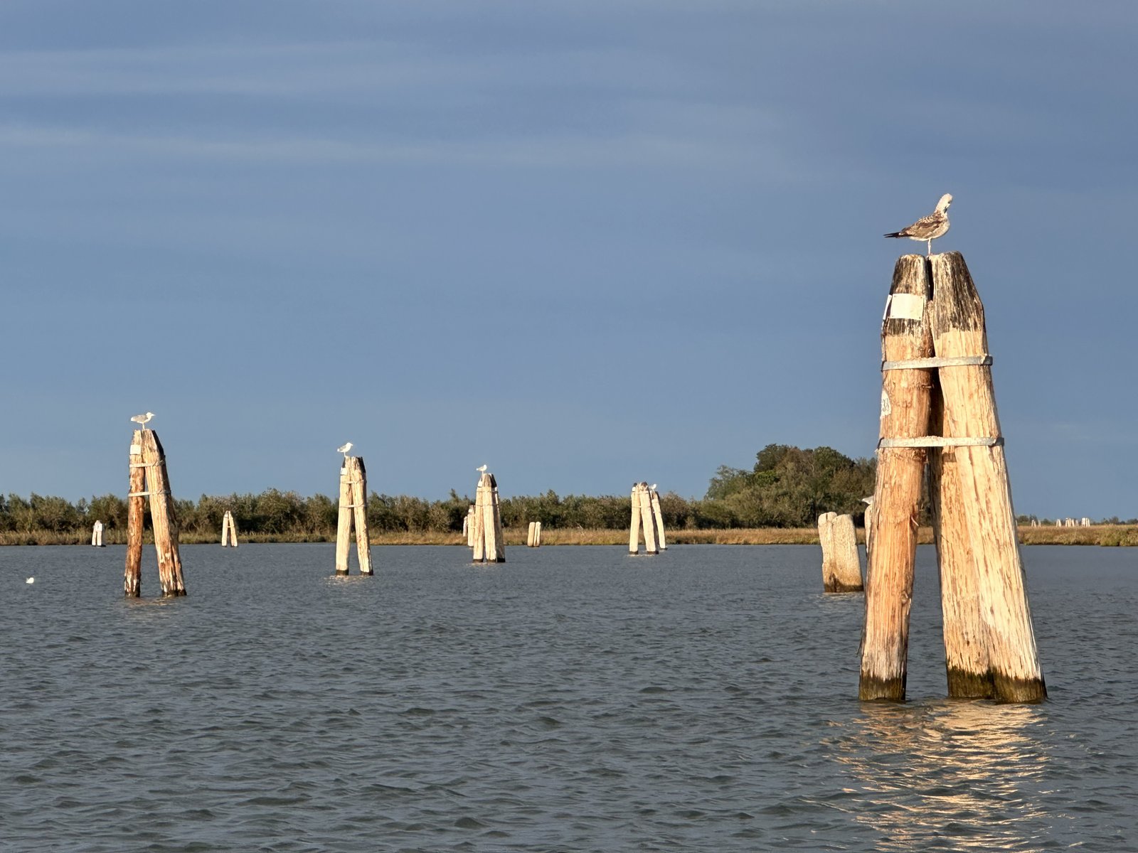 laguna_di_venezia_shooting_in_Venice_2025