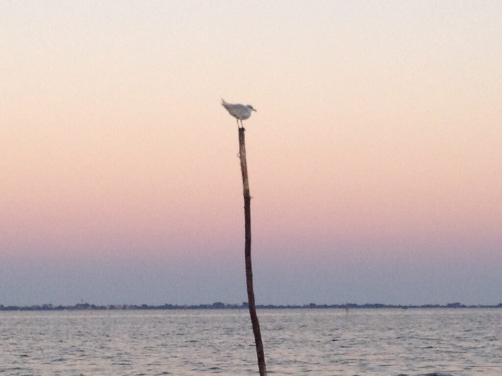 Particolari al tramonto