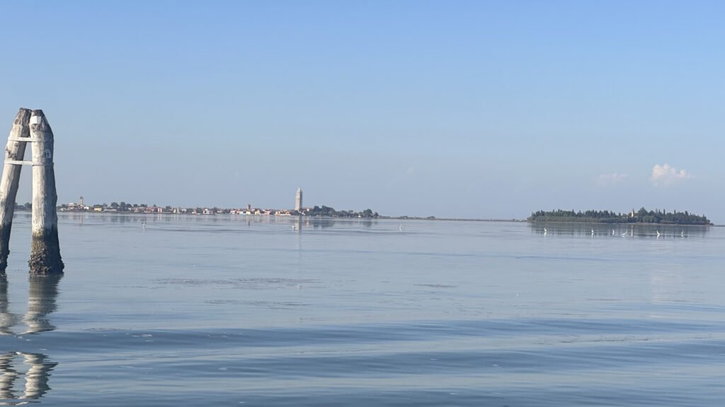 La quite nella Laguna Nord